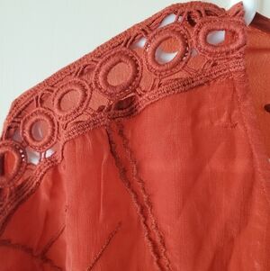 SUNDANCE cinnamon spice colored embroidered dotted-swiss v-Neck tunic blouse